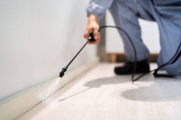 Licensed Emergency Pest Control service in Newport East, RI - Nex Pest Control