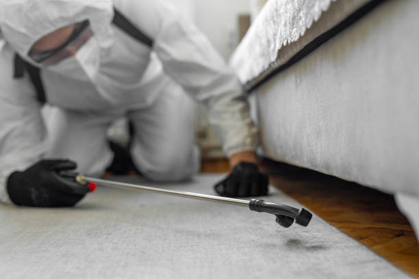 Professional Emergency Pest Control technician working in Newport East, RI
