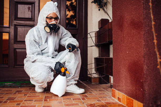 Reliable Emergency Pest Control contractor in Newport East, RI by Nex Pest Control