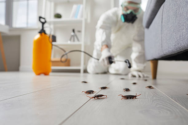 Trusted Cockroach Control service in Newport East, RI - Nex Pest Control