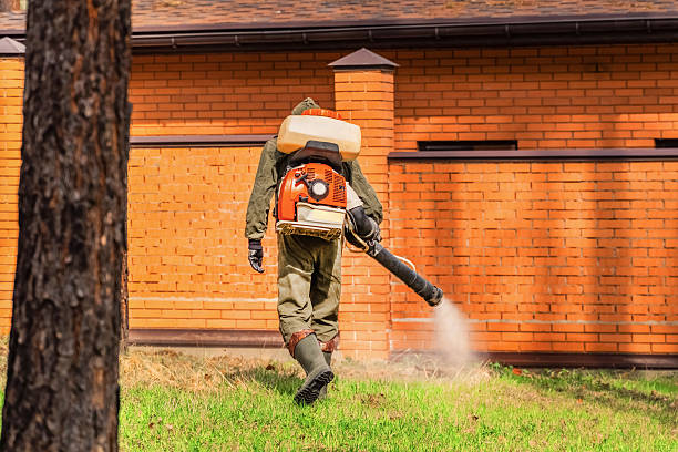 Trusted Emergency Pest Control service in Newport East, RI - Nex Pest Control